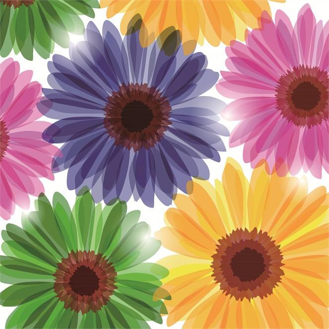 Colored Chrysanthemums Wallpaper AJ Wallpaper