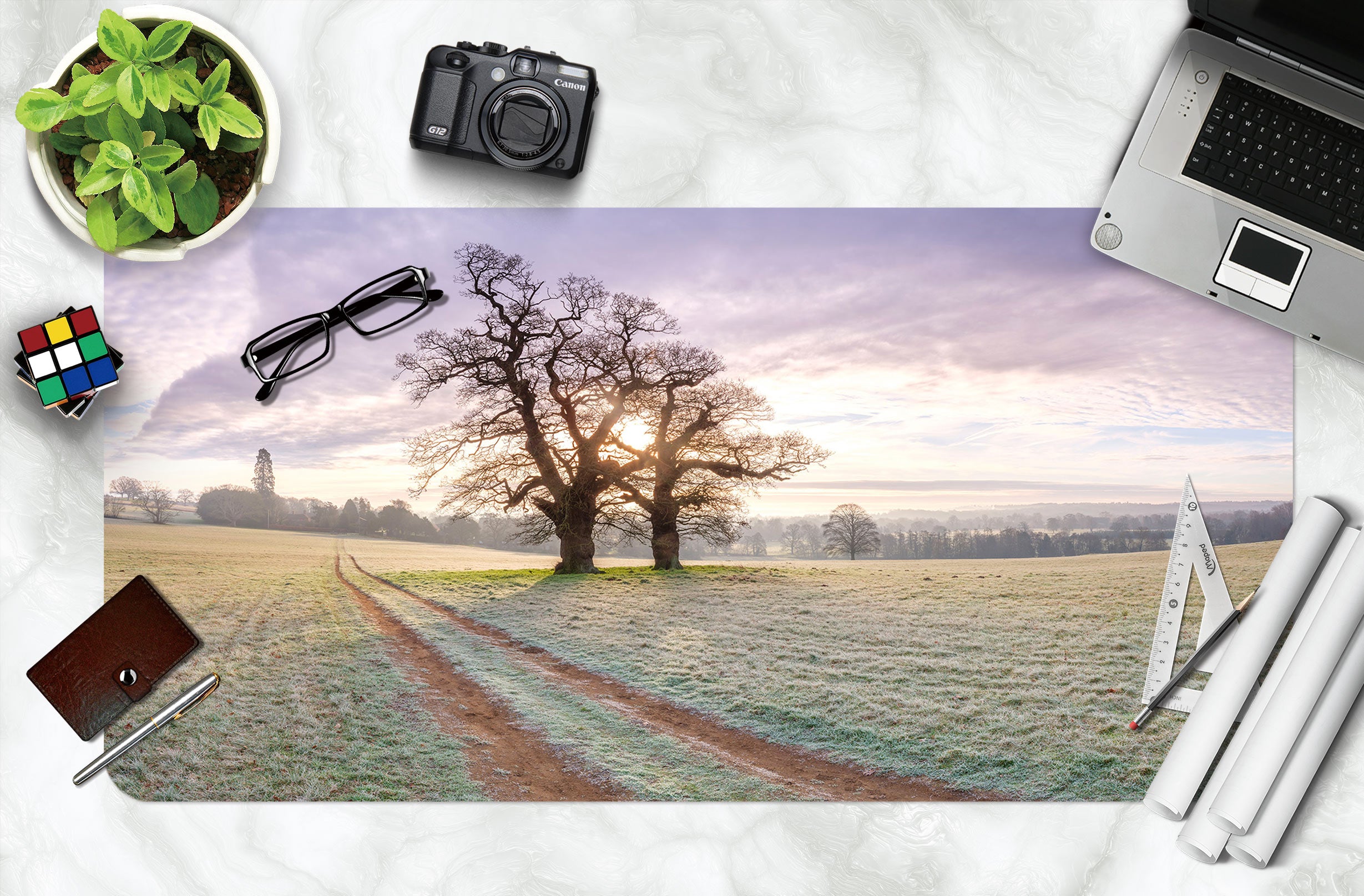 3D Path Lawn Tree 12462 Assaf Frank Desk Mat