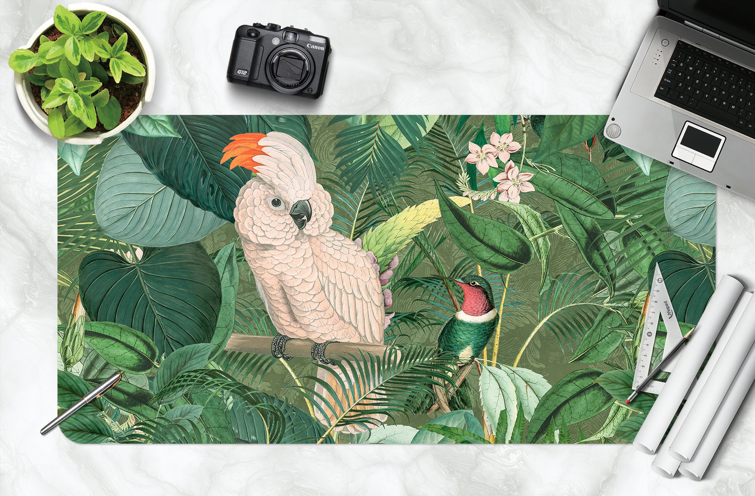 3D White Parrot 5226 Andrea Haase Desk Mat