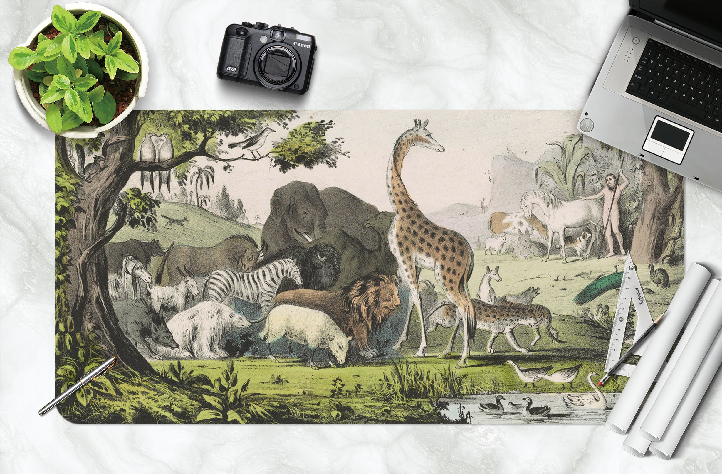 3D Animal Giraffe Elephant 981 Andrea Haase Desk Mat