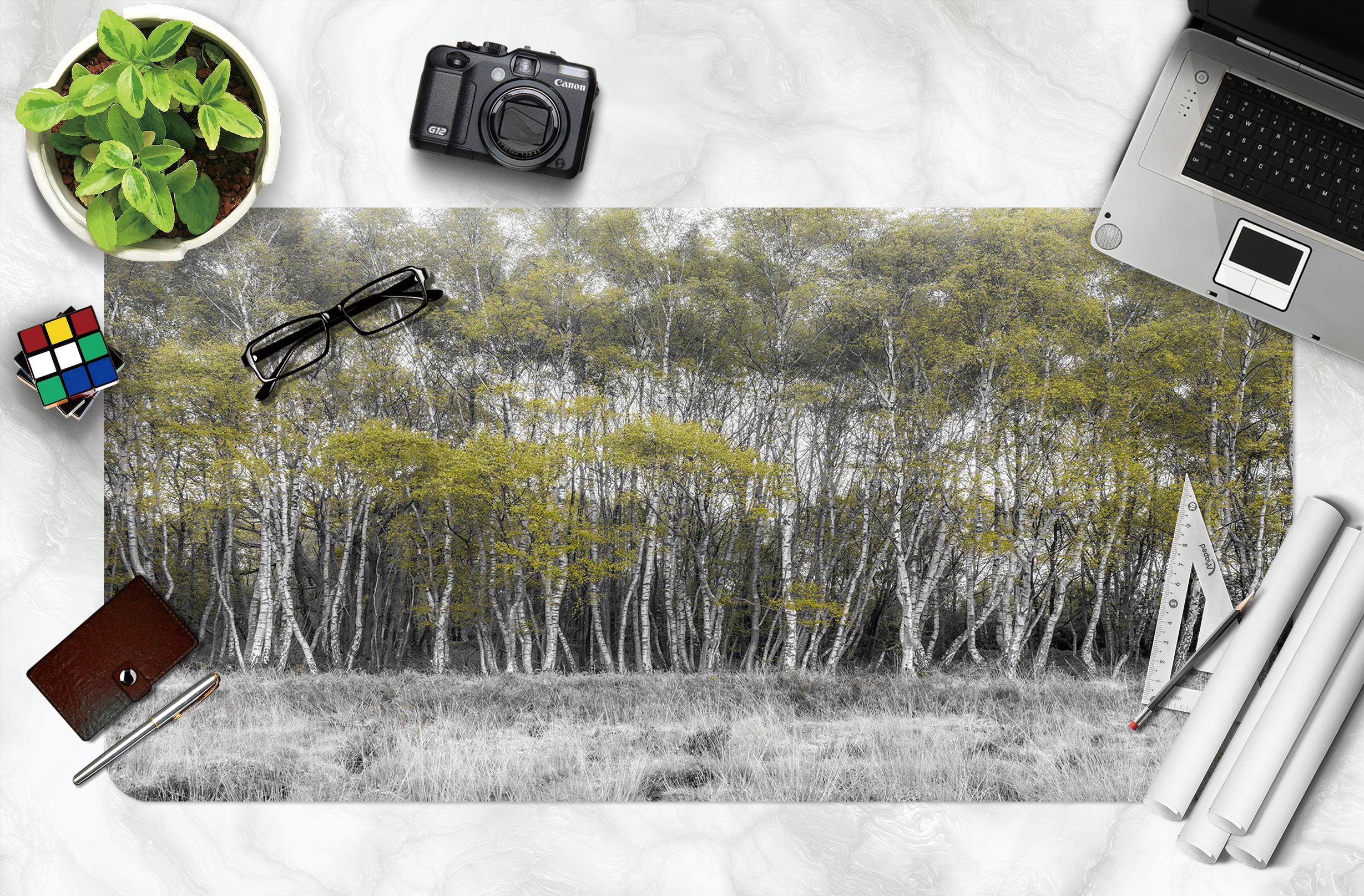 3D Forest 12432 Assaf Frank Desk Mat