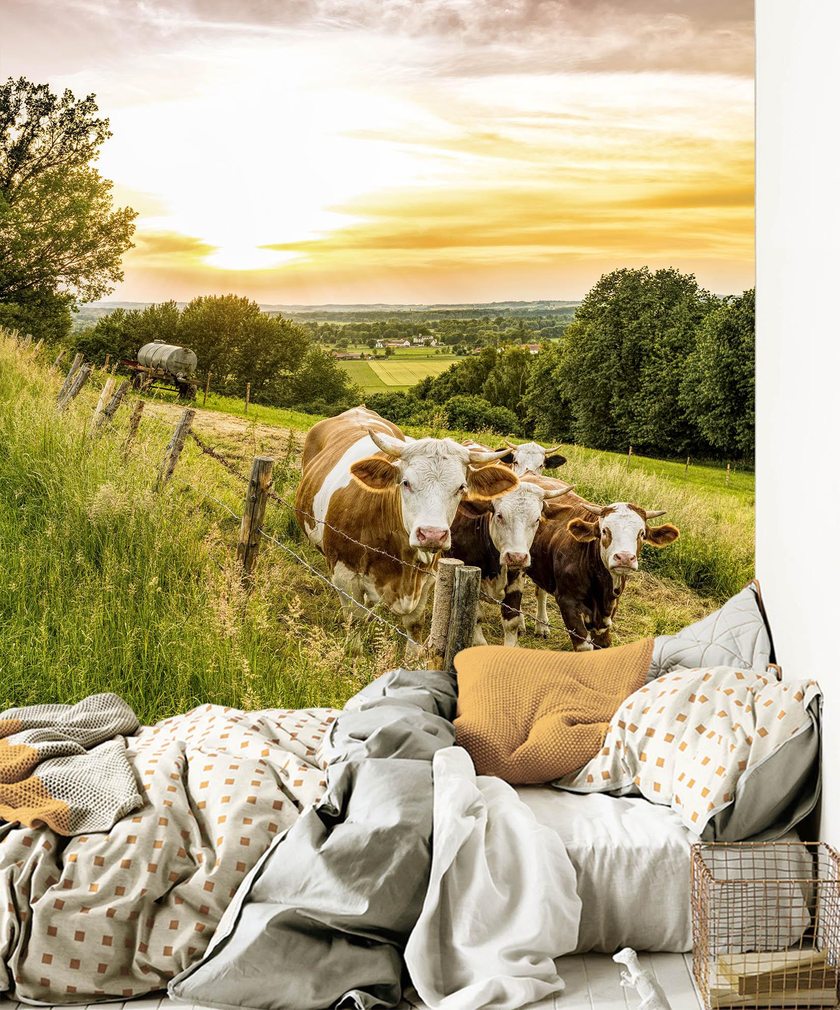 3D Dusk Cow 132 Wallpaper AJ Wallpaper