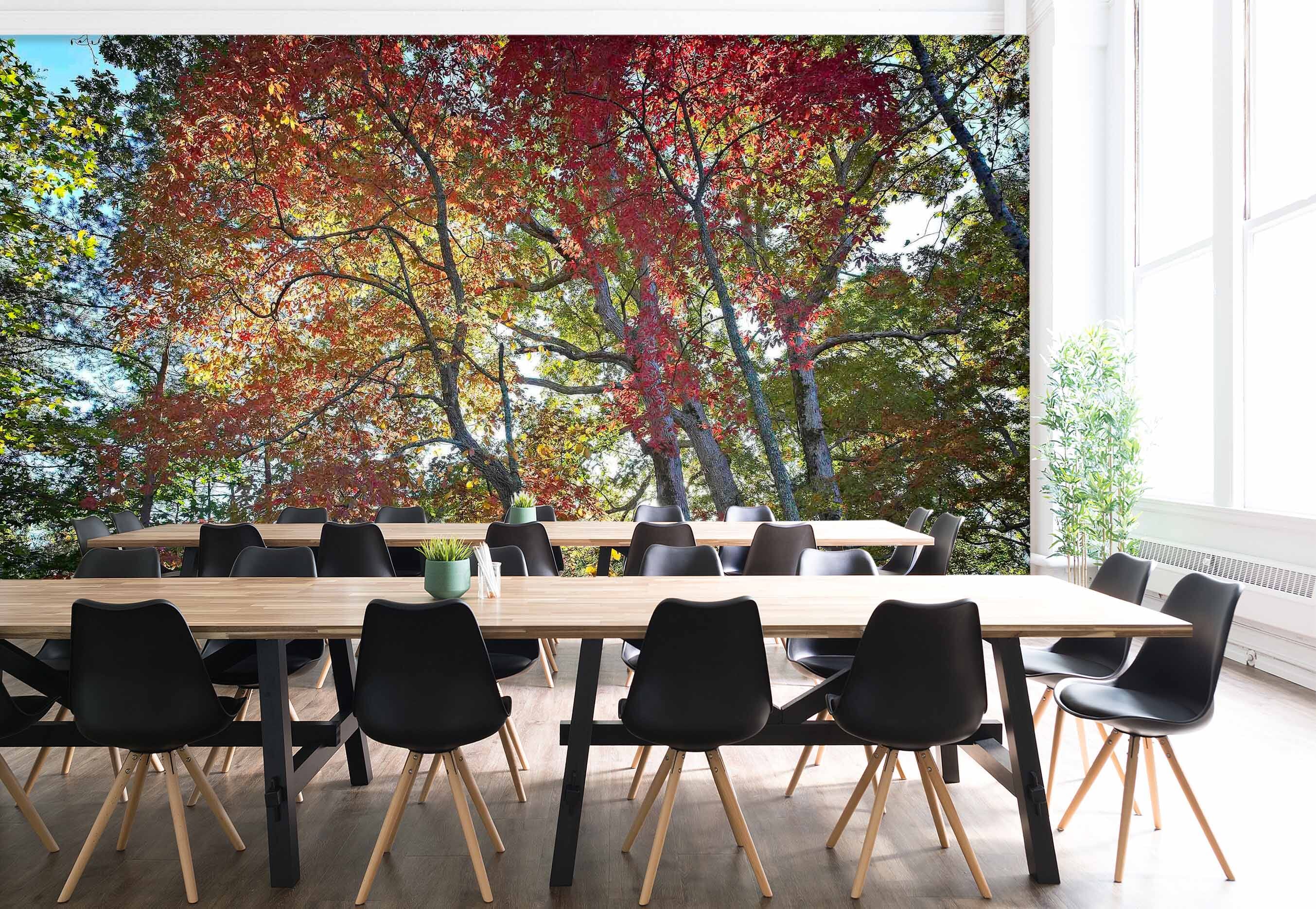 3D Forest Park 120 Kathy Barefield Wall Mural Wall Murals Wallpaper AJ Wallpaper 2