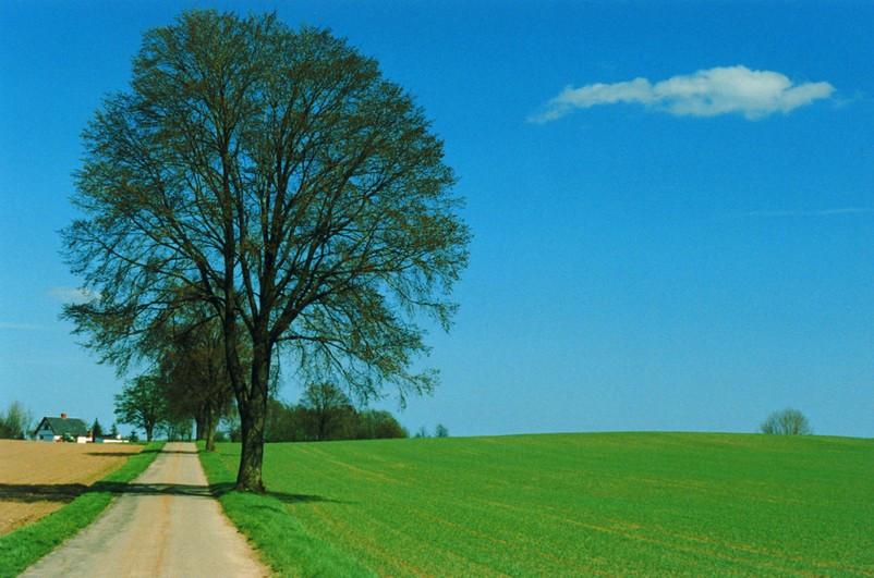 Prairie Wallpaper AJ Wallpaper