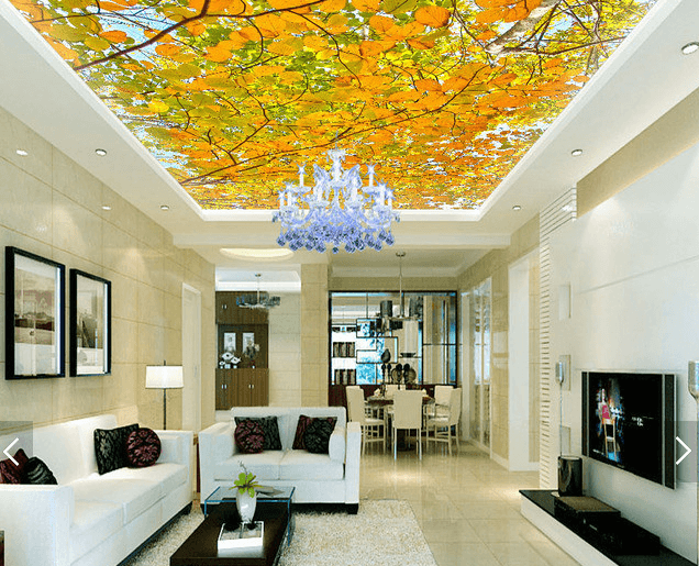 Maple Leaves Sunny Day 165 Wallpaper AJ Wallpaper