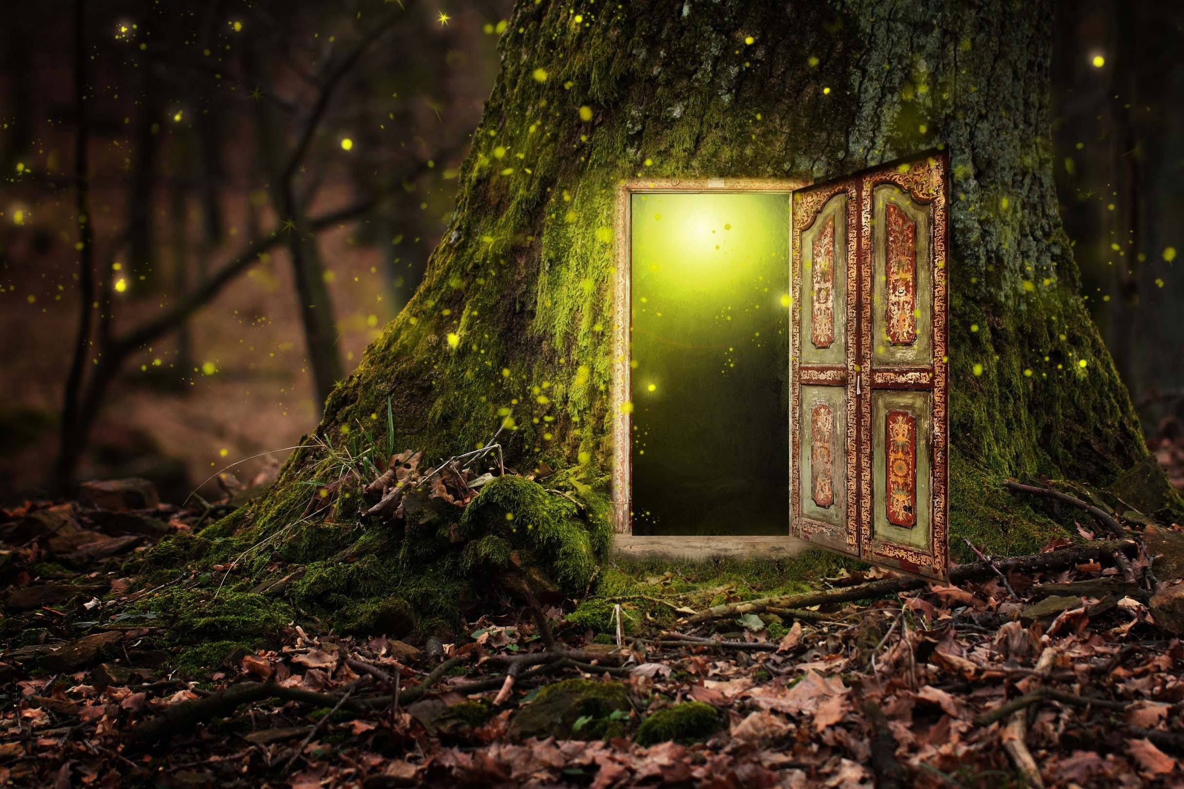 3D Magic Tree House 334 Garage Door Mural Wallpaper AJ Wallpaper