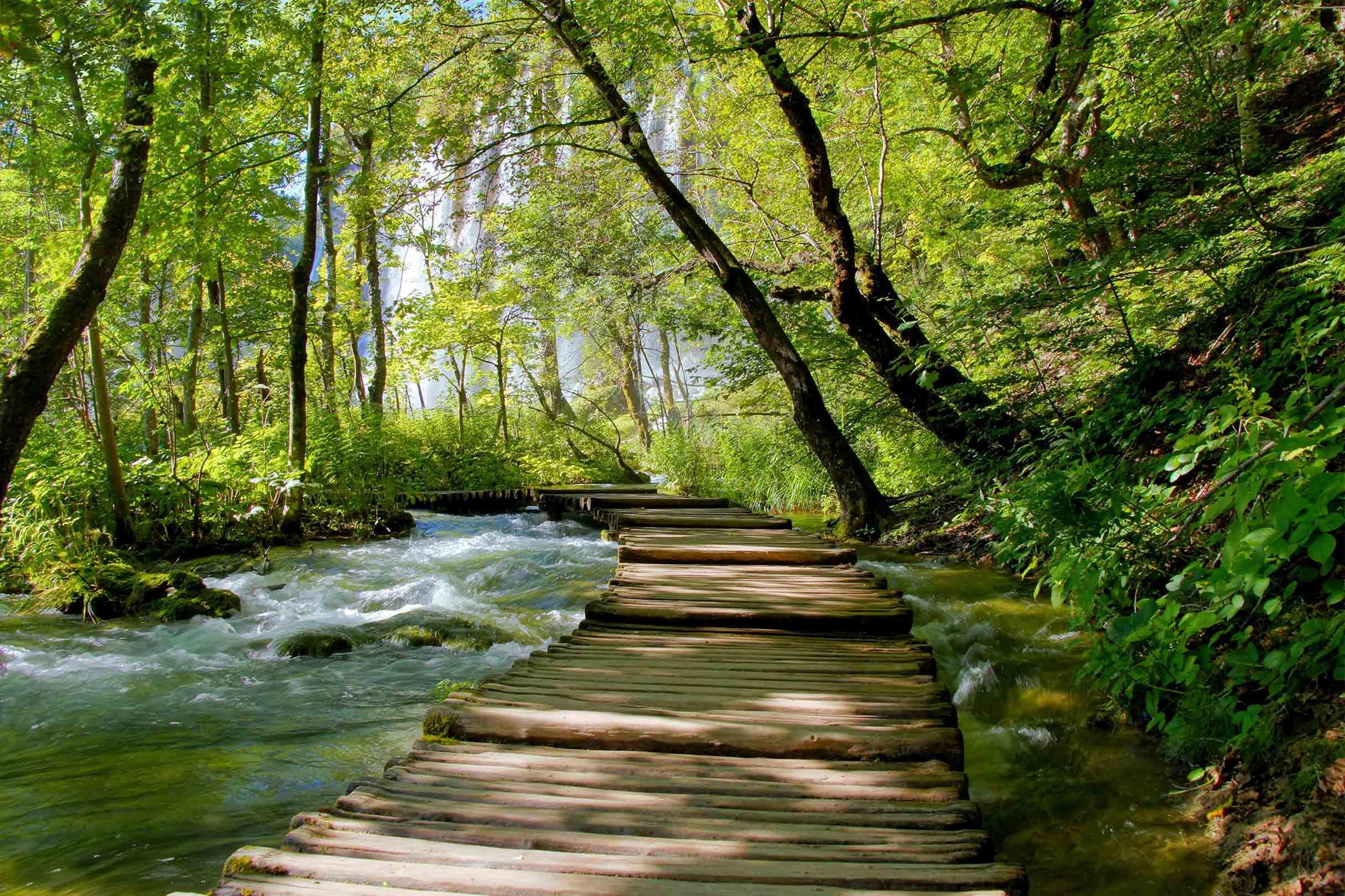 3D Forest River Wood Bridge 332 Garage Door Mural Wallpaper AJ Wallpaper