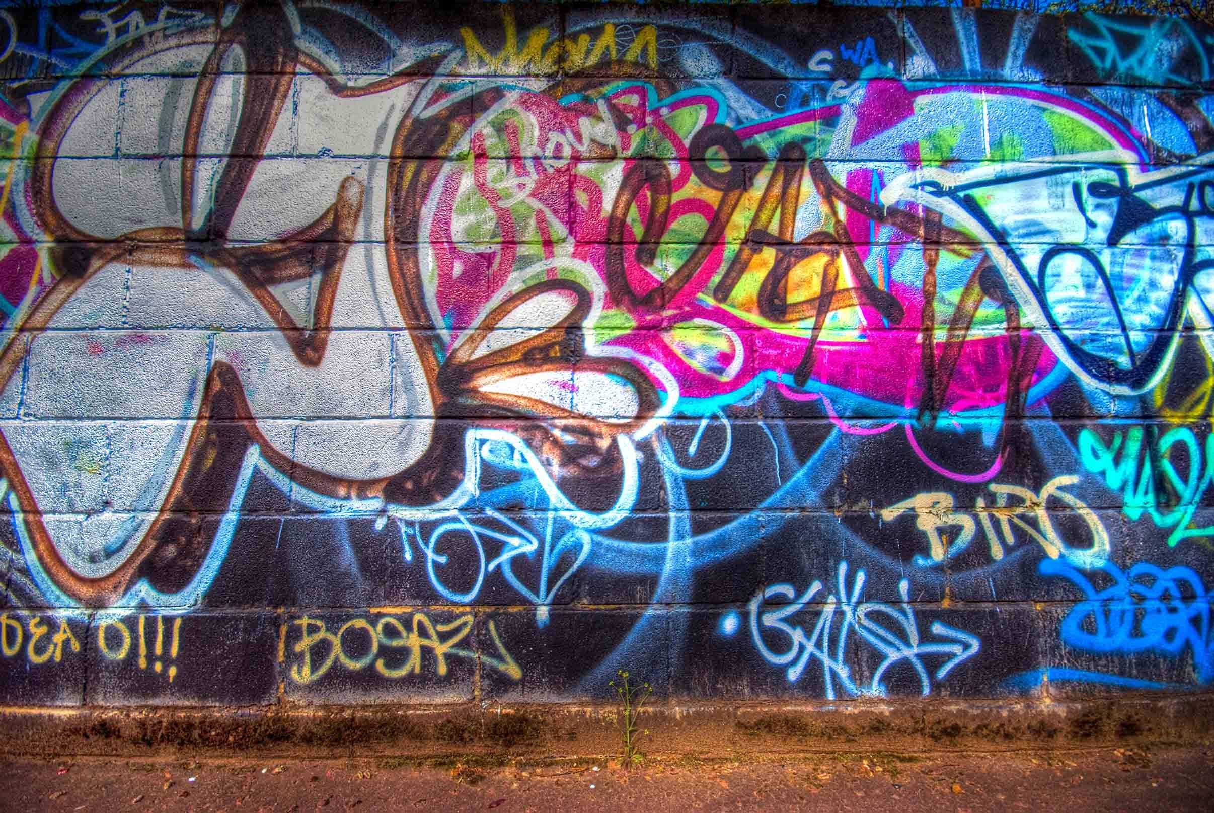 3D Graffiti Words 329 Garage Door Mural Wallpaper AJ Wallpaper