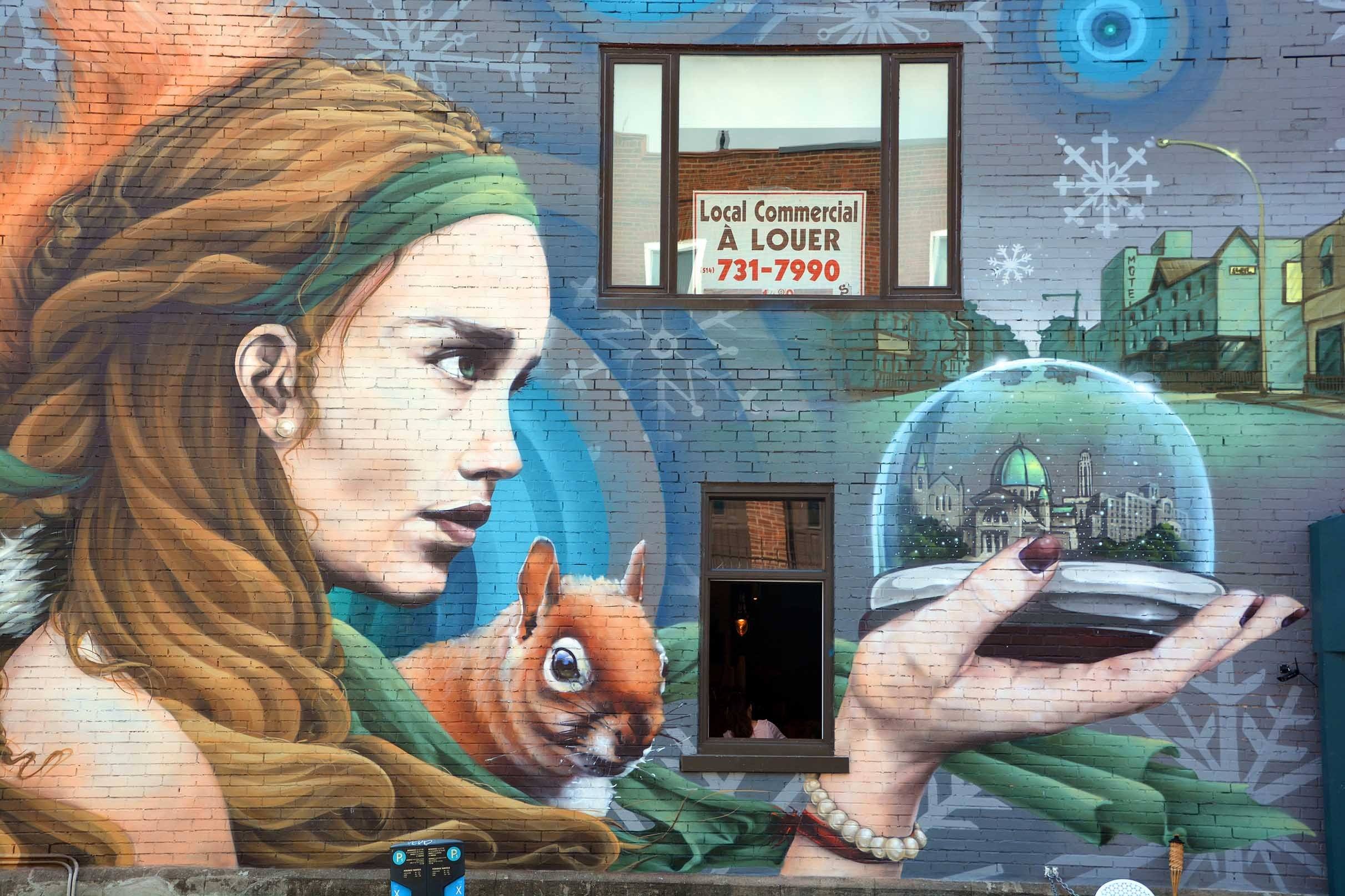 3D Pretty Graffiti Girl 336 Garage Door Mural Wallpaper AJ Wallpaper
