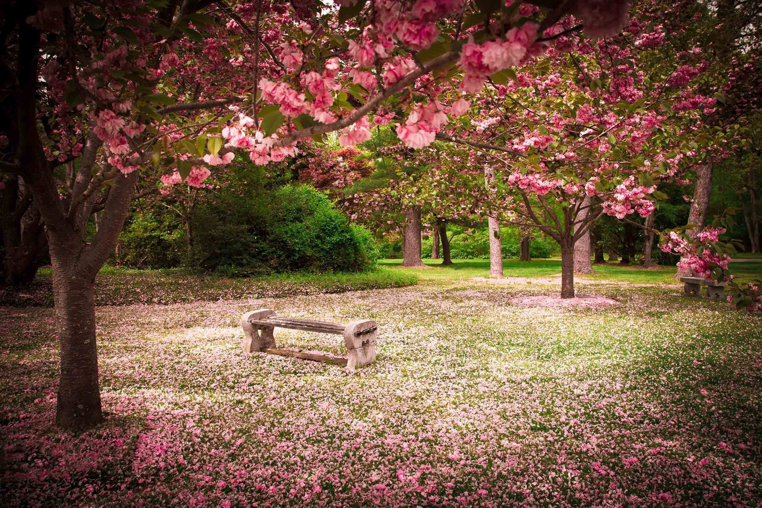 3D Trees Falling Flowers 327 Garage Door Mural Wallpaper AJ Wallpaper