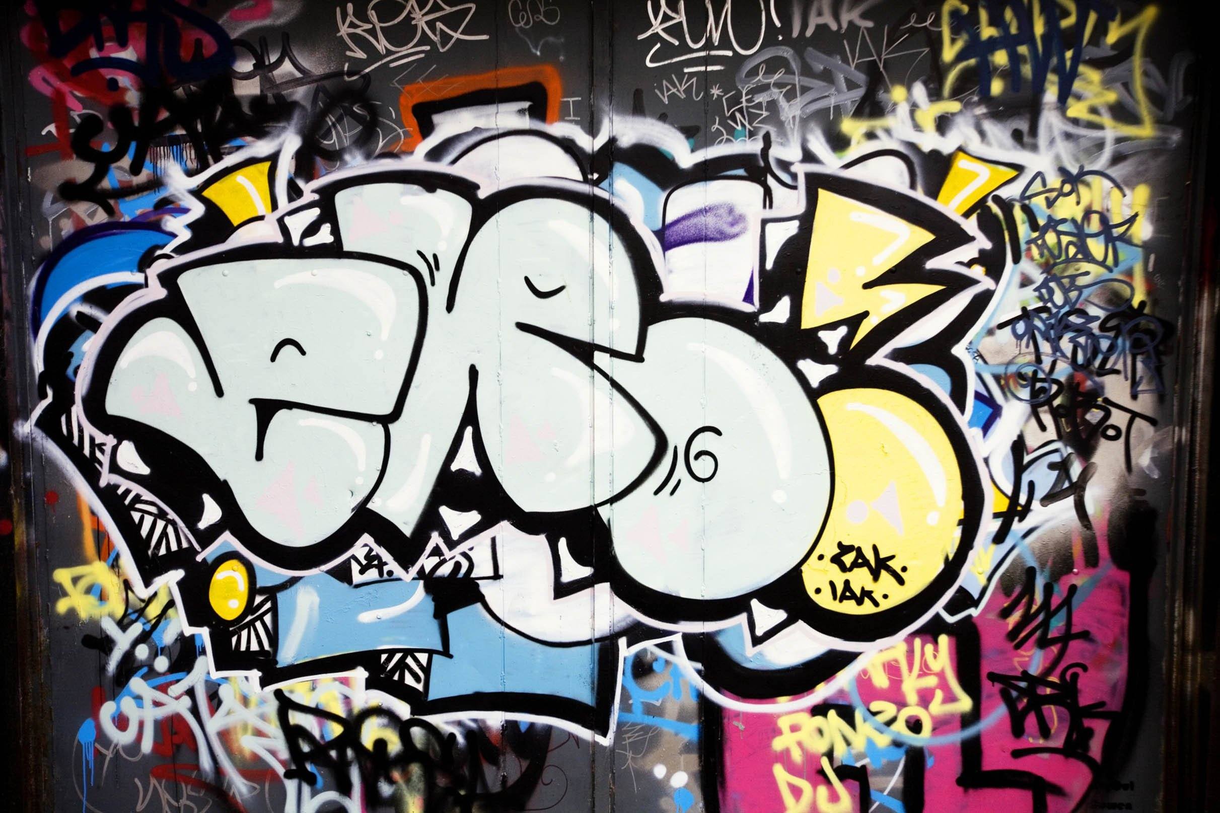 3D Creative Graffiti 450 Garage Door Mural Wallpaper AJ Wallpaper