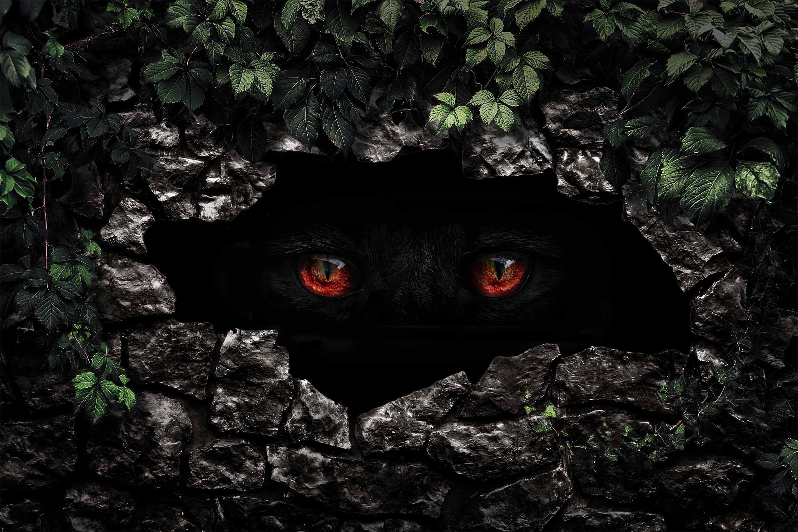 3D Animal Eyes 438 Garage Door Mural Wallpaper AJ Wallpaper