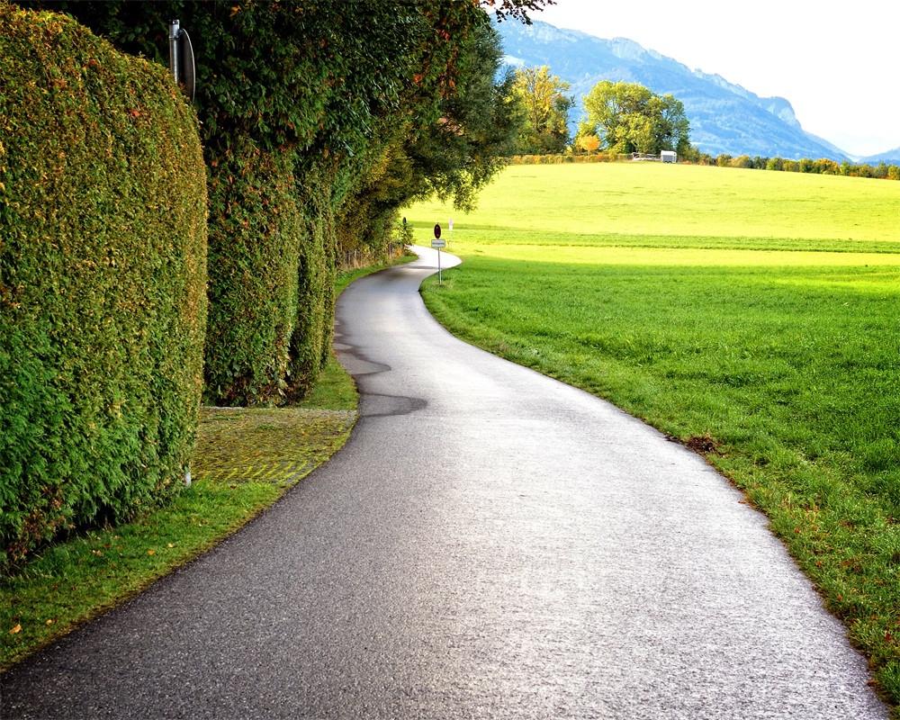 3D Roadside Grassland 184 Garage Door Mural Wallpaper AJ Wallpaper