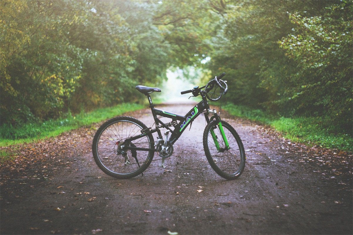 3D Mountain Bike 181 Garage Door Mural Wallpaper AJ Wallpaper