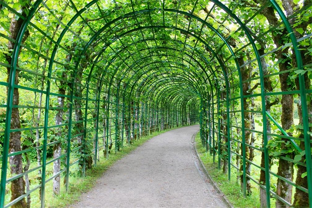 3D Green Trees Rattan Corridor 171 Garage Door Mural Wallpaper AJ Wallpaper