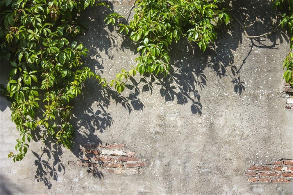 3D Green Vine 147 Garage Door Mural Wallpaper AJ Wallpaper