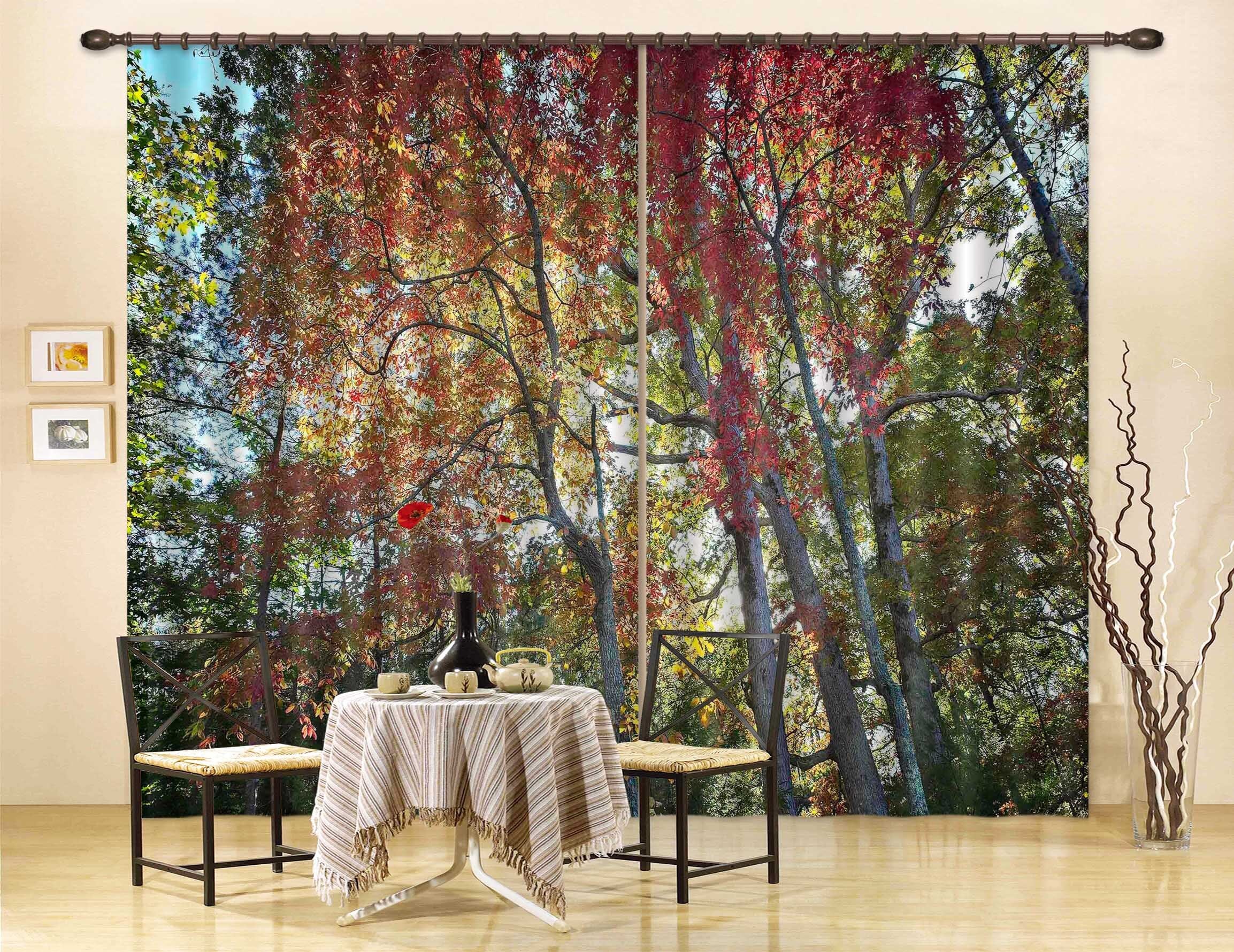 3D Natural Forest 063 Kathy Barefield Curtain Curtains Drapes Curtains AJ Creativity Home