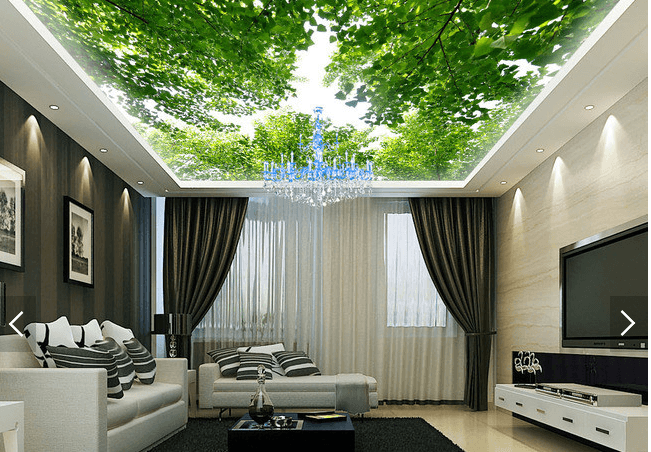 Trees Shade Sky 174 Wallpaper AJ Wallpaper