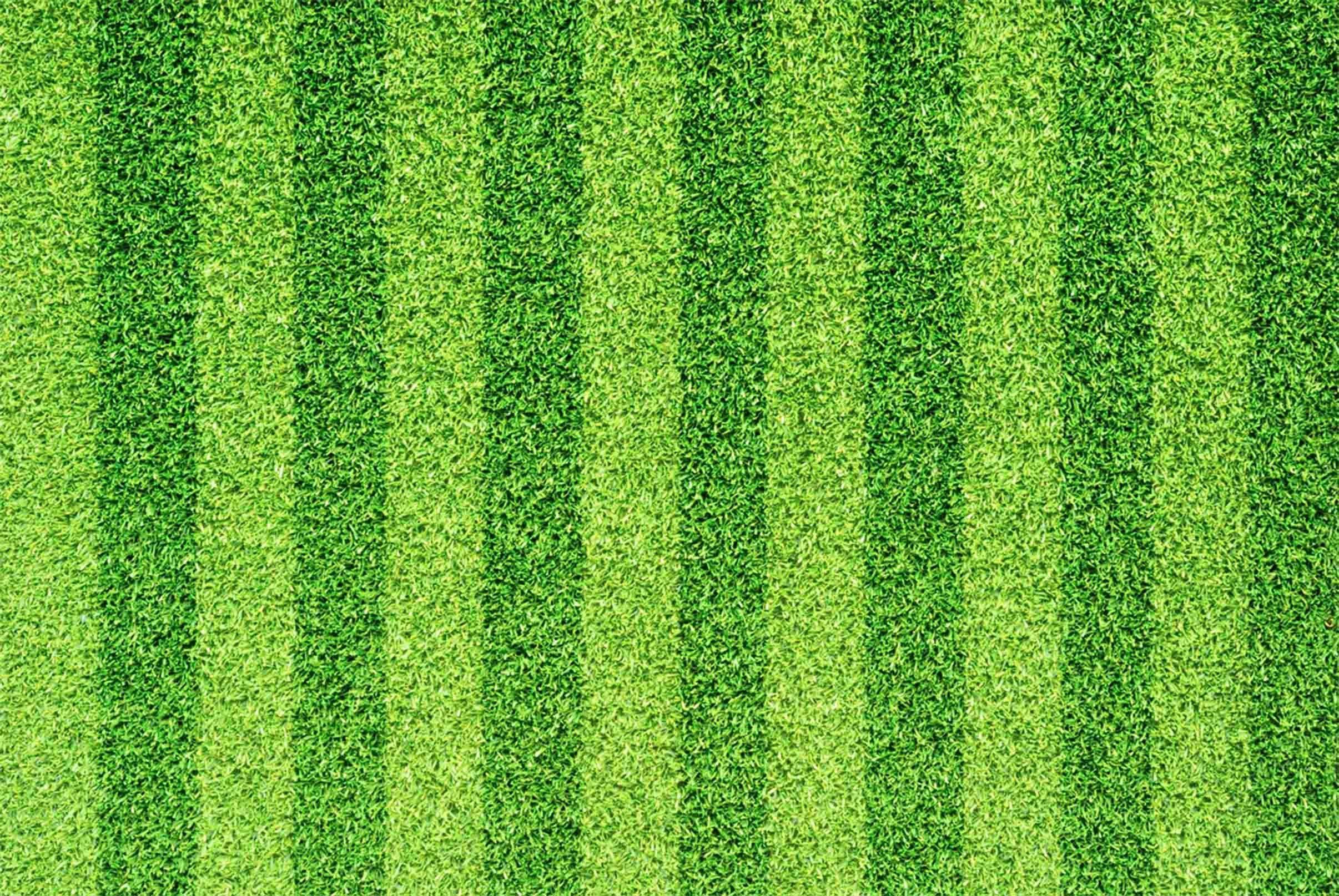 3D Grass Stripes Kitchen Mat Floor Mural Wallpaper AJ Wallpaper