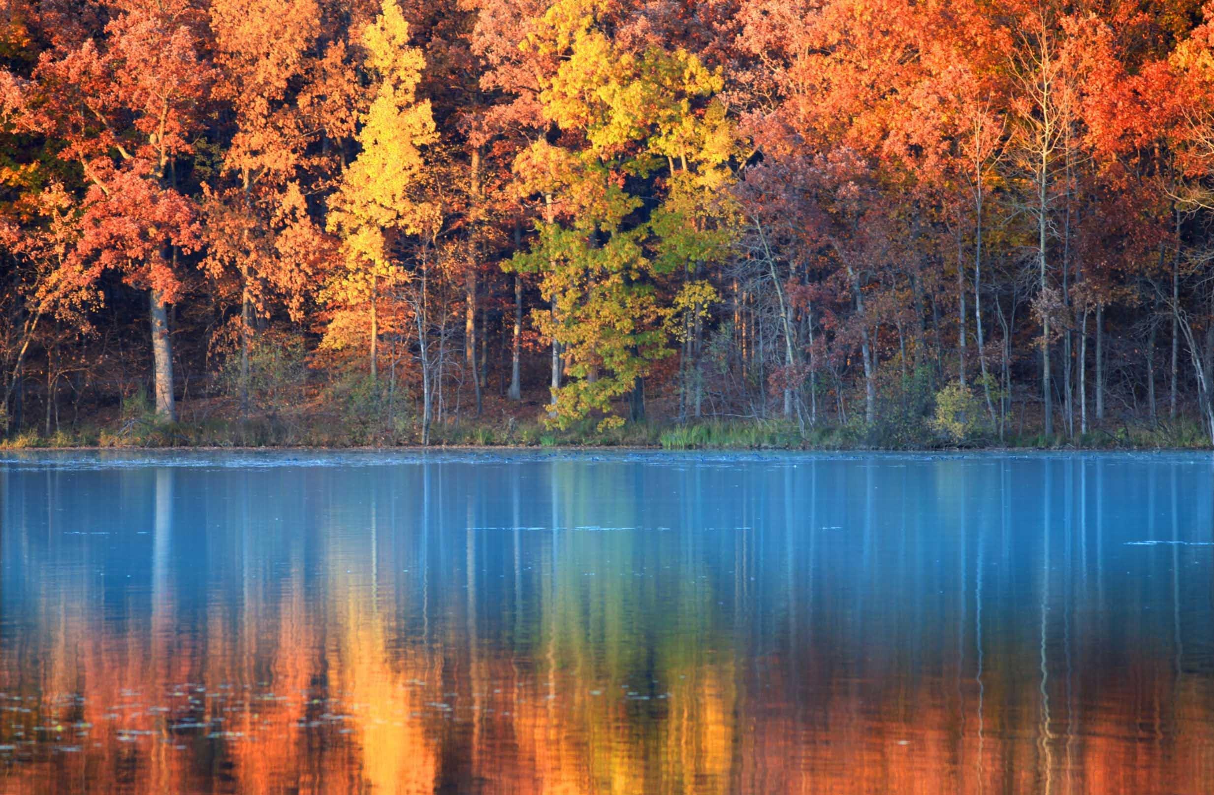 3D Lakeside Color Trees Kitchen Mat Floor Mural Wallpaper AJ Wallpaper
