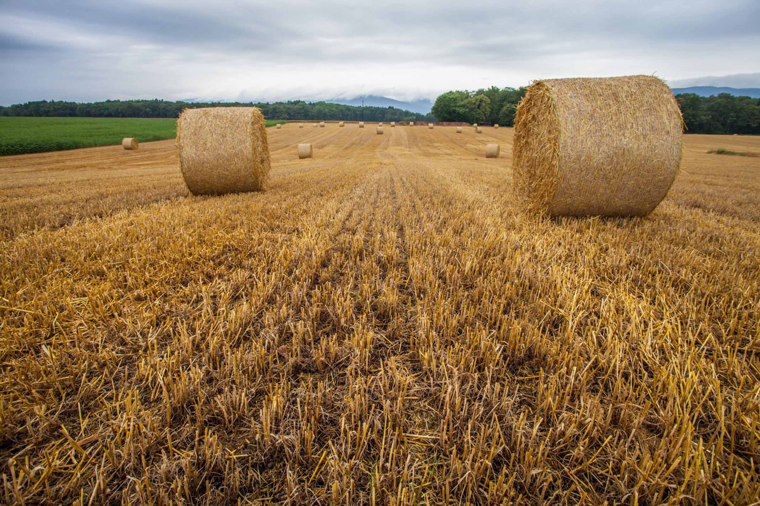 3D Farmland Haystacks 72 Kitchen Mat Floor Mural Wallpaper AJ Wallpaper