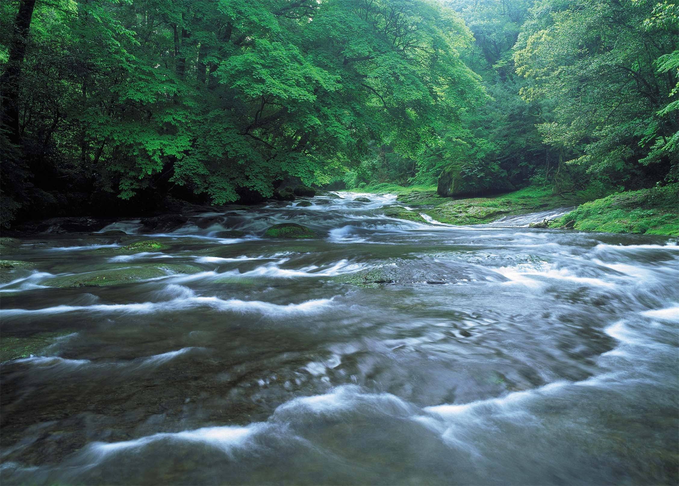 3D Beautiful River 578 Kitchen Mat Floor Mural Wallpaper AJ Wallpaper
