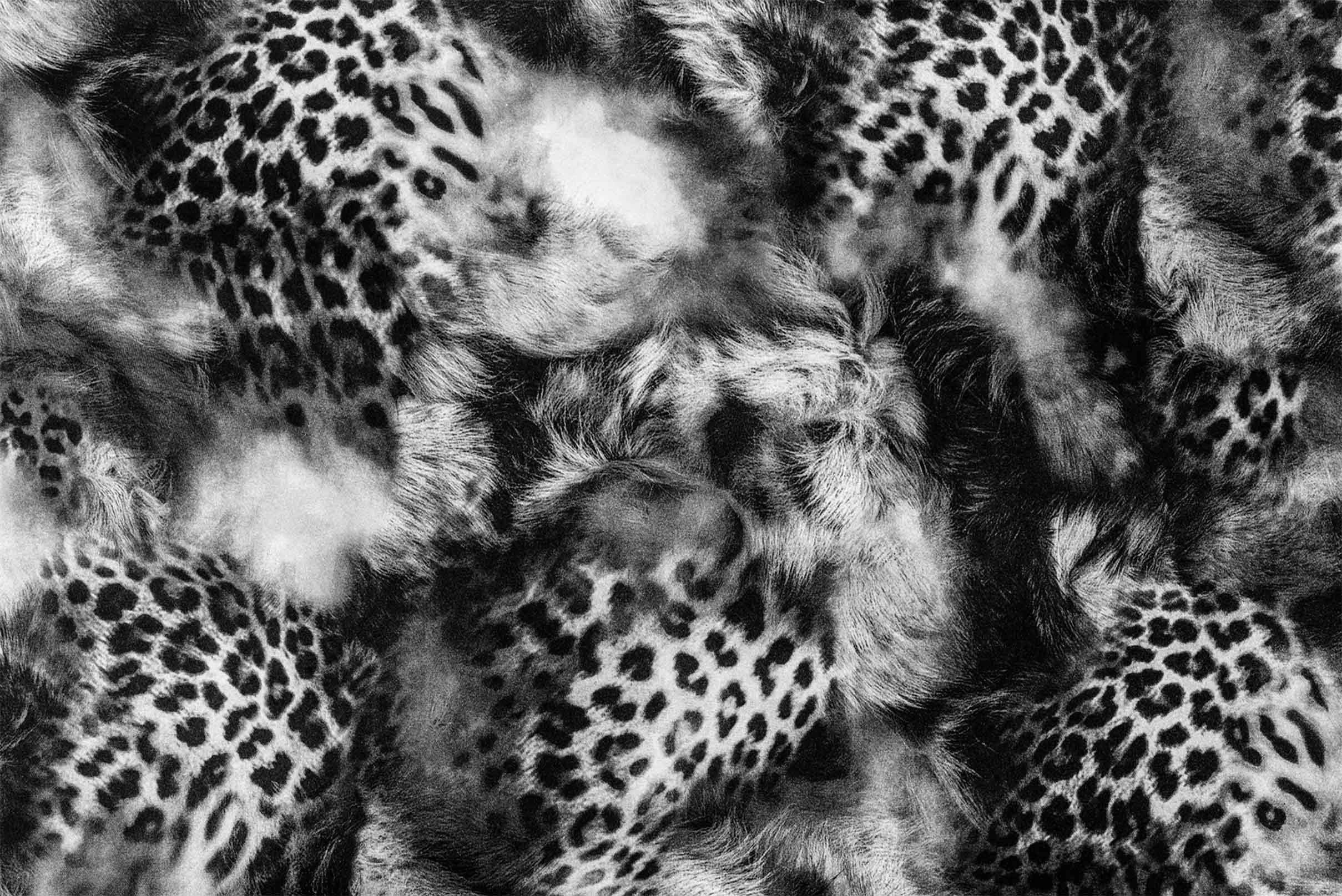 3D Animal Fur Kitchen Mat Floor Mural Wallpaper AJ Wallpaper