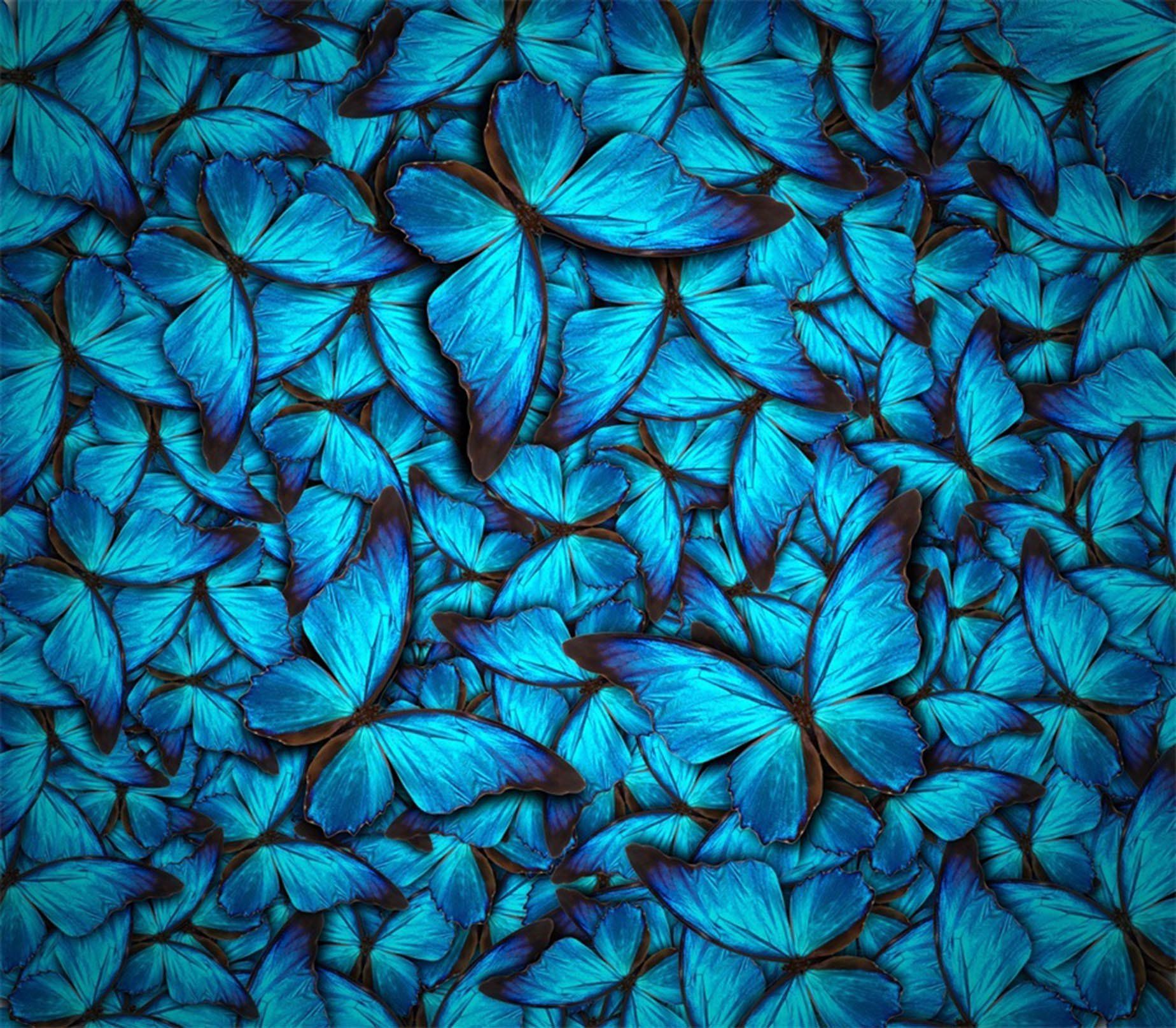 Crowded Blue Butterflies Wallpaper AJ Wallpaper