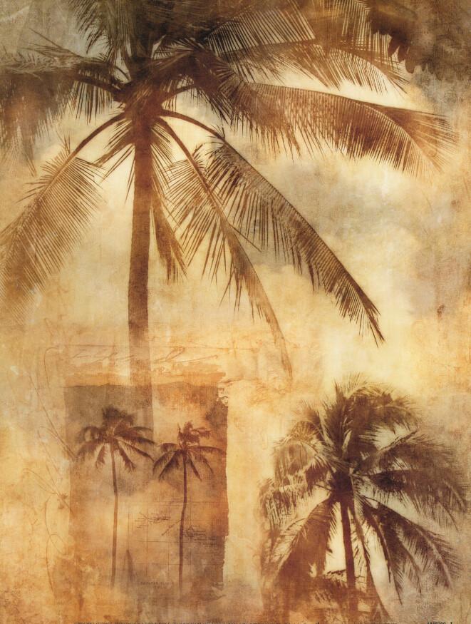 Coconut Trees Wallpaper AJ Wallpaper
