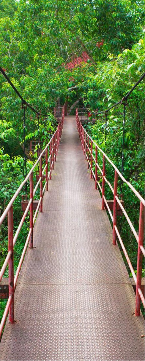 3D forest air suspension door mural Wallpaper AJ Wallpaper