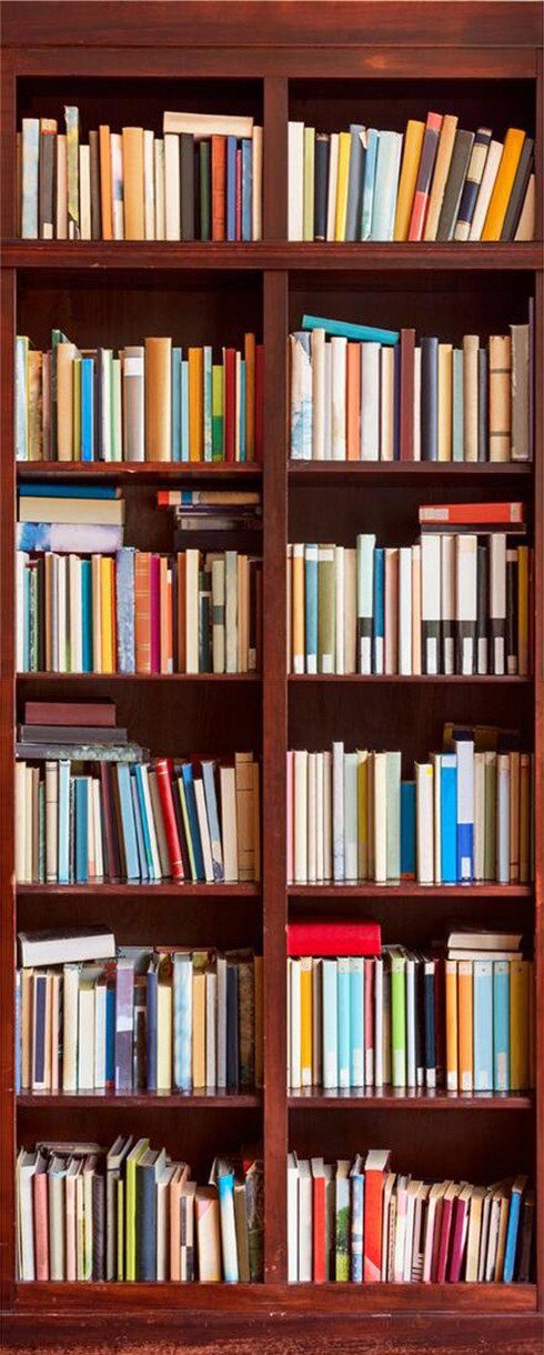 3D bookcase door mural Wallpaper AJ Wallpaper