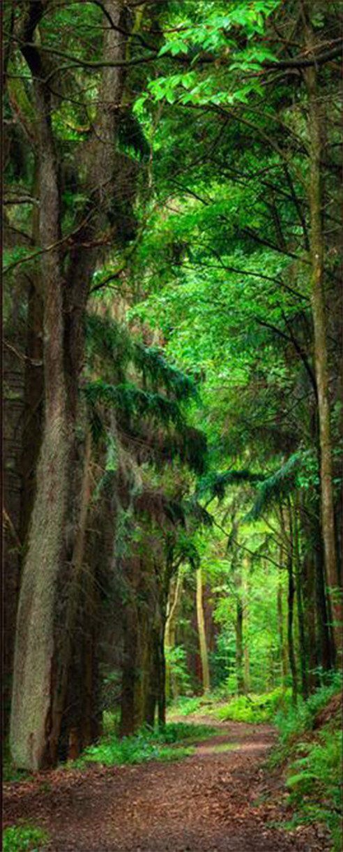 3D natural forest landscape door mural Wallpaper AJ Wallpaper