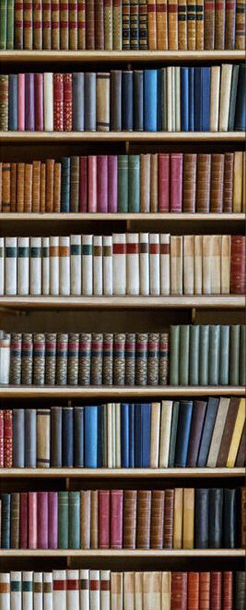 3D bookcase admission design door mural Wallpaper AJ Wallpaper