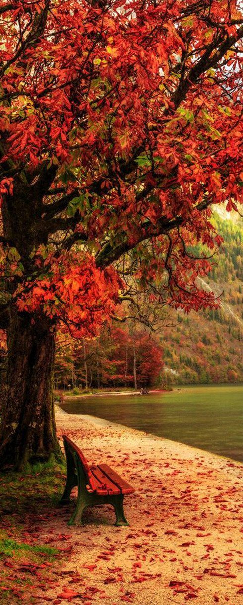 3D natural landscape door mural Wallpaper AJ Wallpaper