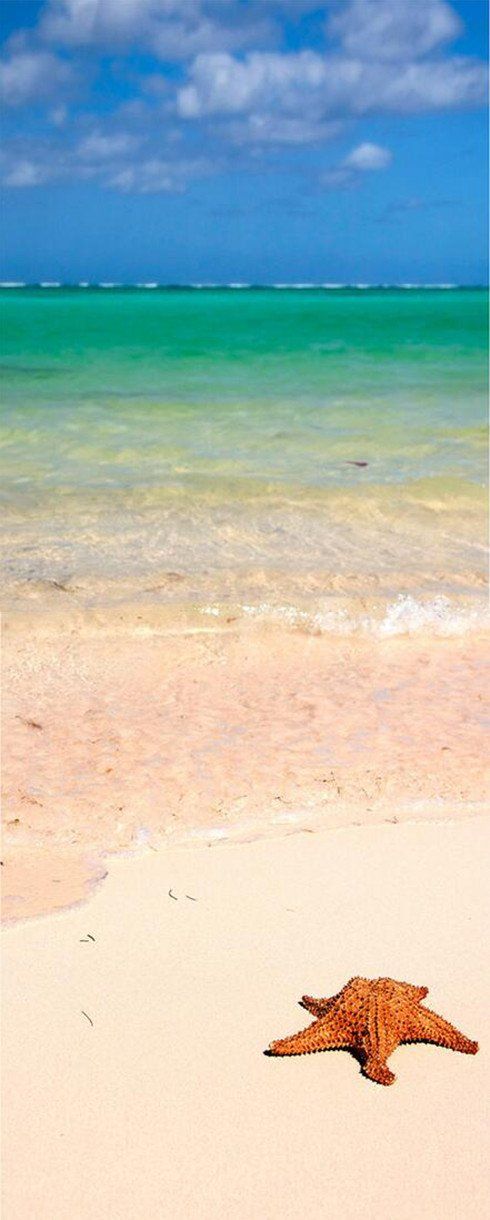 3D beach sea and starfish door mural Wallpaper AJ Wallpaper