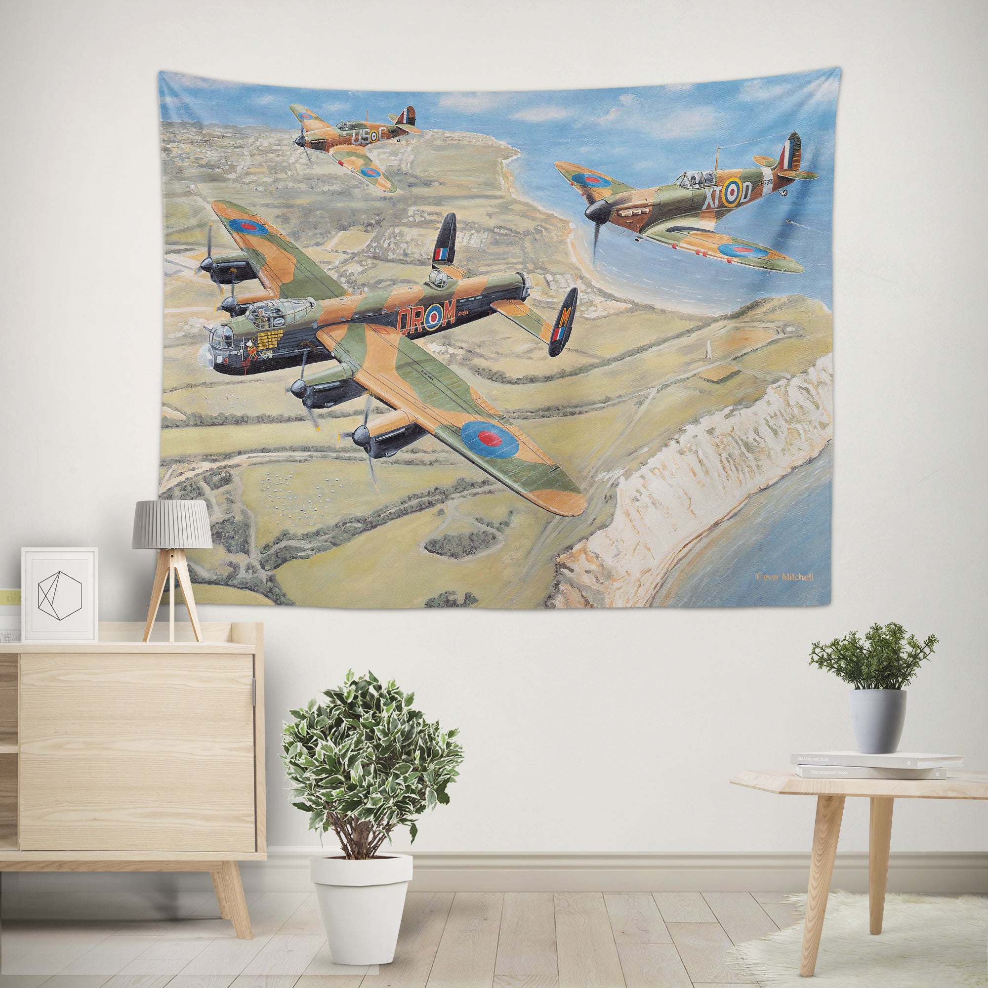 3D Airplane 11237 Trevor Mitchell Tapestry Hanging Cloth Hang