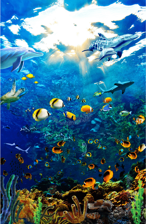 Shining Sea Wallpaper AJ Wallpaper 2