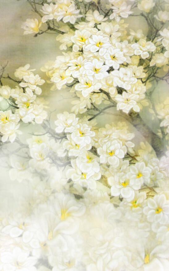 White Blossoms Tree Wallpaper AJ Wallpaper