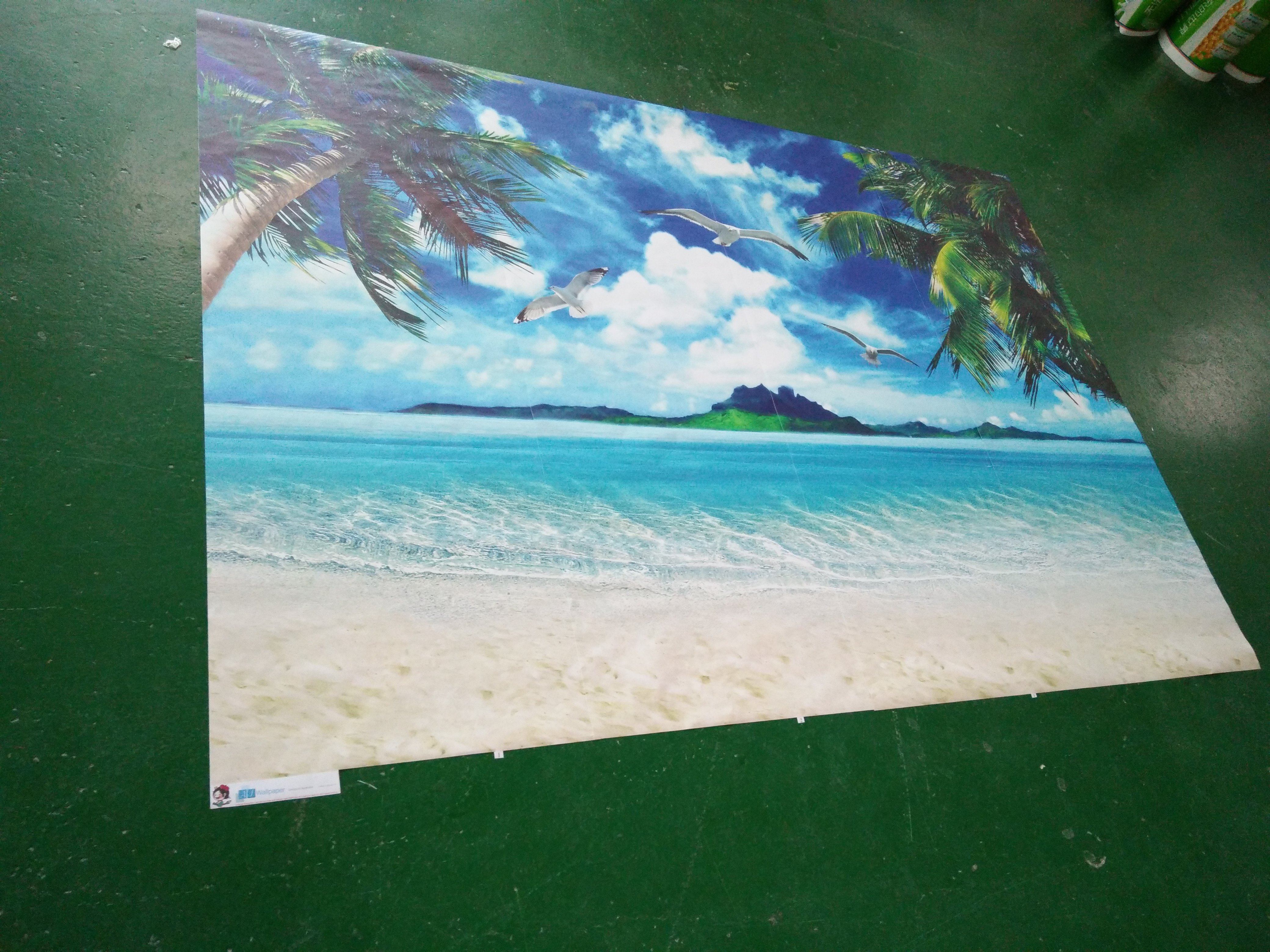 Vast Beach Scenery Wallpaper AJ Wallpaper