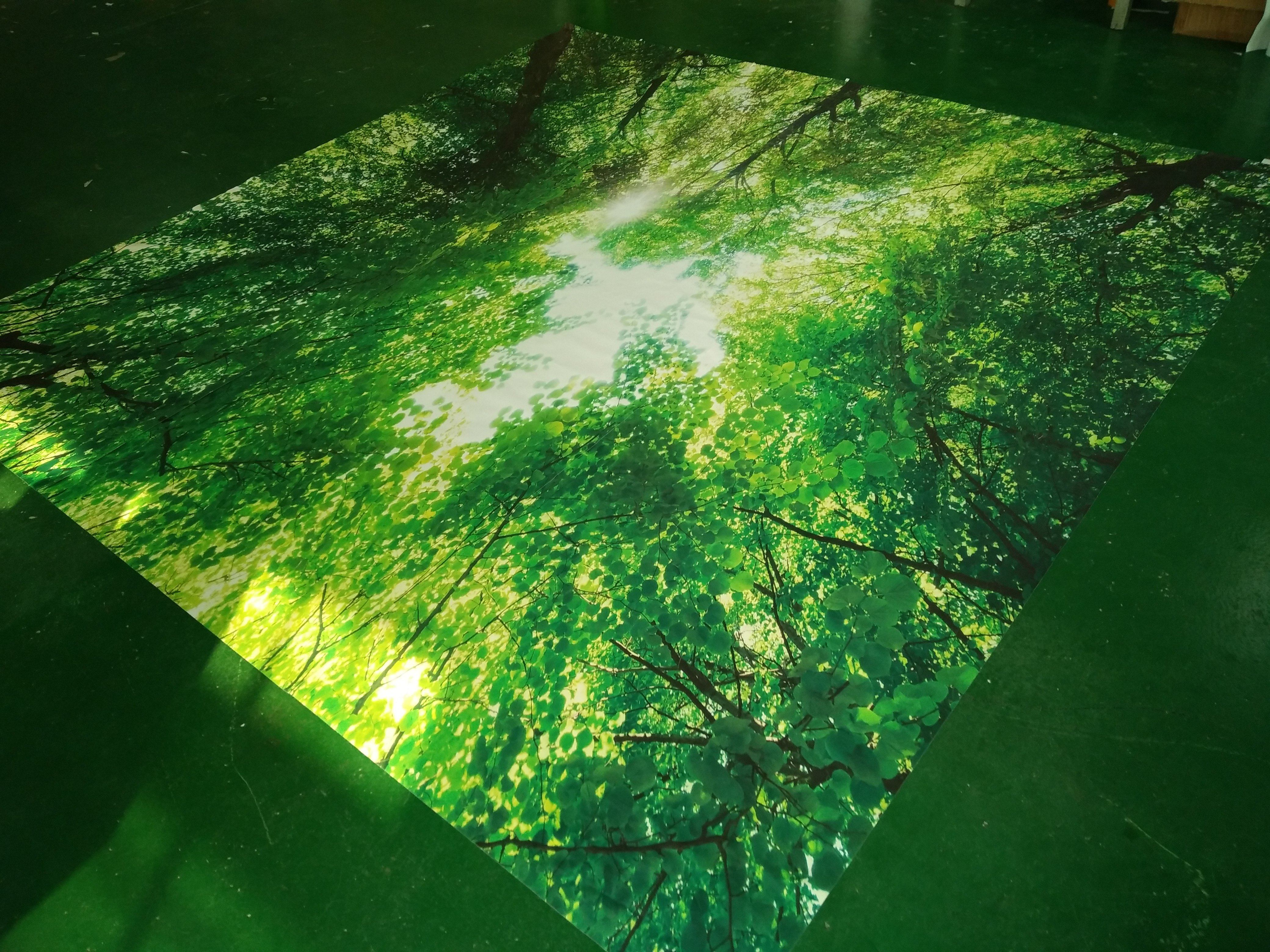 3D Forest Roof Sky Wallpaper AJ Wallpapers