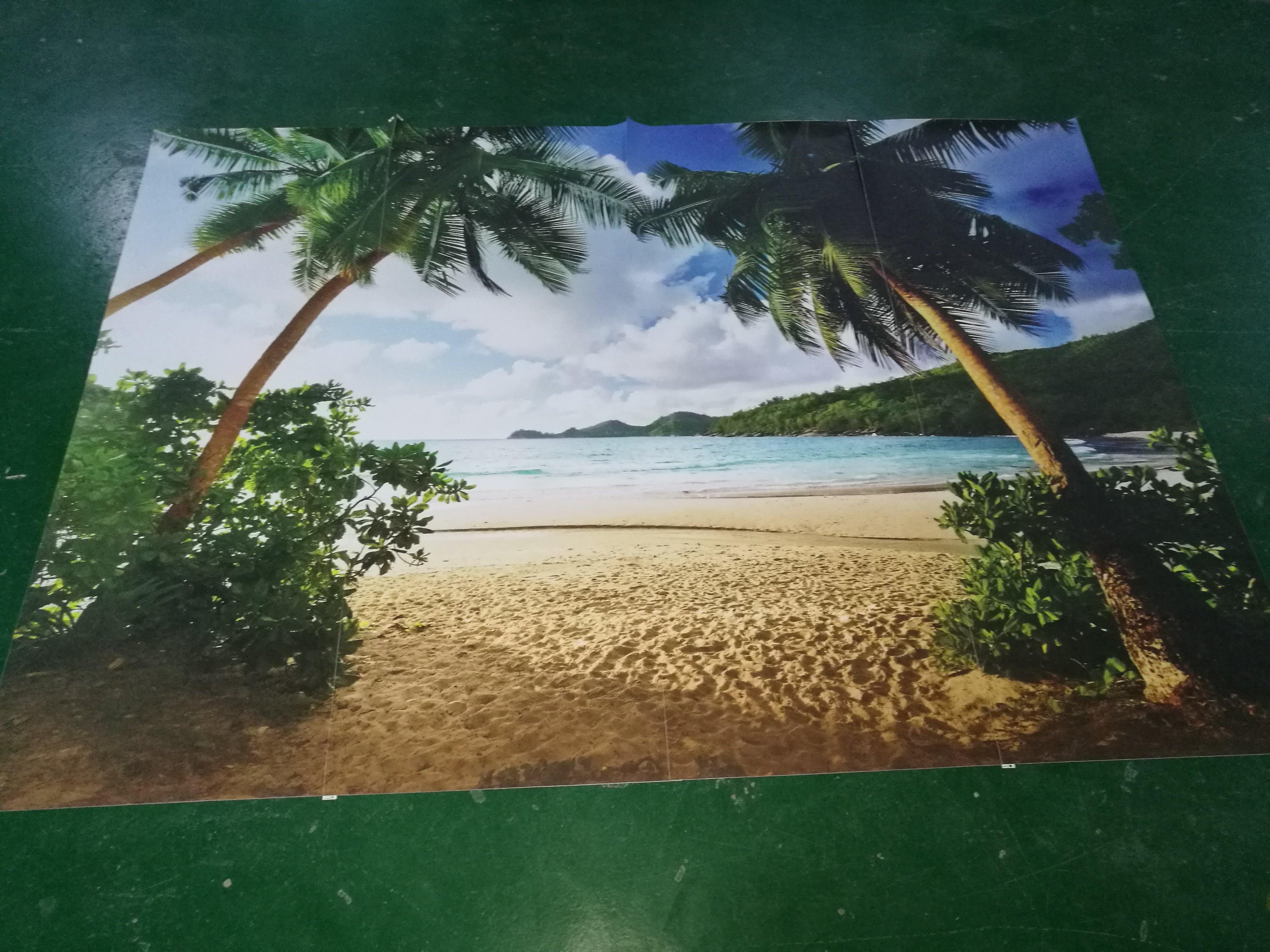 Green Coconut Trees Wallpaper AJ Wallpaper