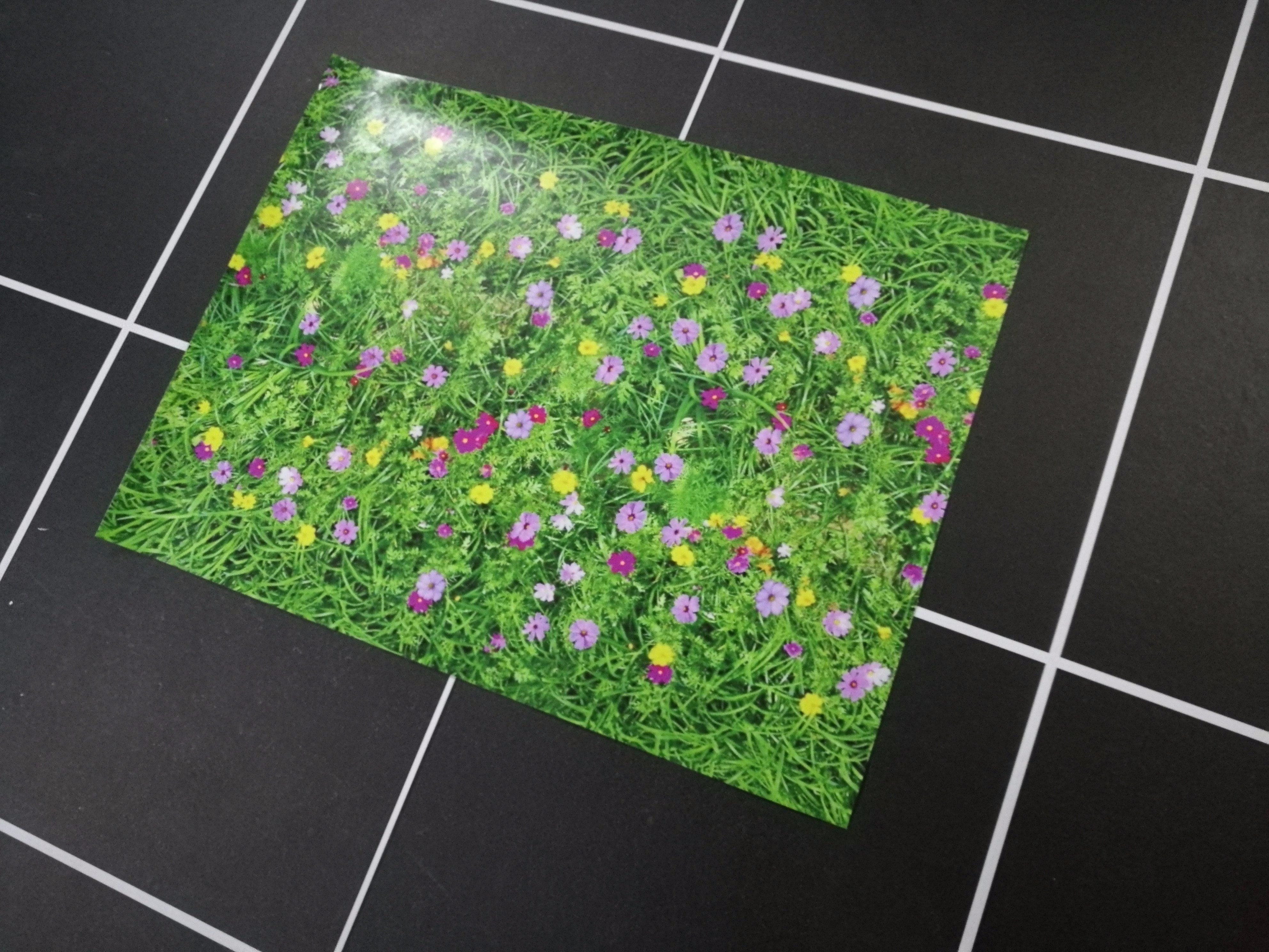 3D Lush Grass Flowers 152 Kitchen Mat Floor Mural Wallpaper AJ Wallpaper