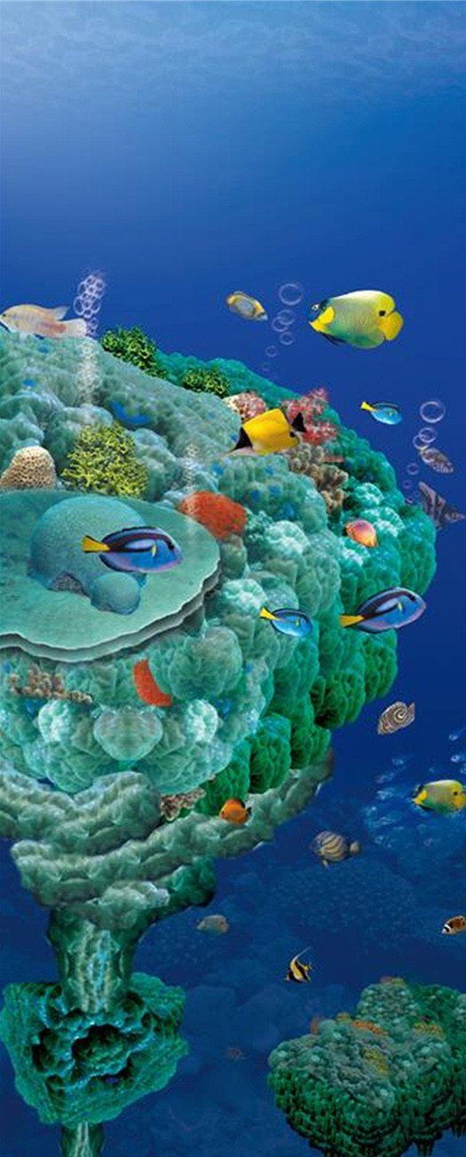 3D the wonders of the world in the sea door mural Wallpaper AJ Wallpaper