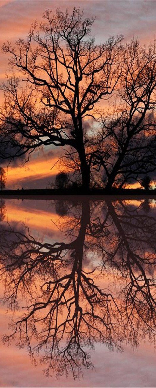 3D reflection of the water tree door mura Wallpaper AJ Wallpaper