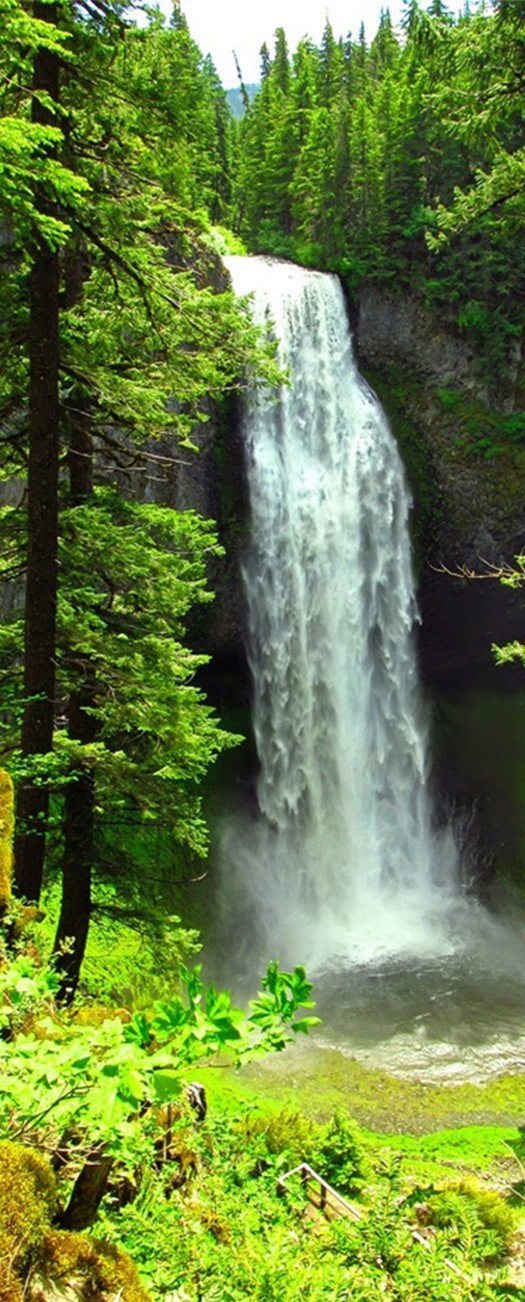 3D waterfall mountain green trees door mural Wallpaper AJ Wallpaper