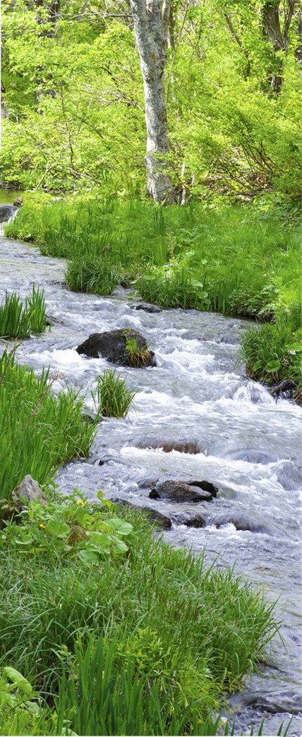 3D green grass river door mural Wallpaper AJ Wallpaper