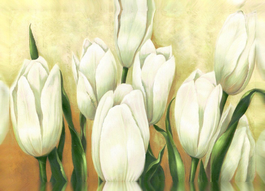 Tulips Buds Wallpaper AJ Wallpaper 2