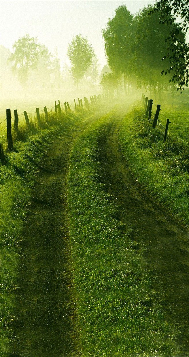 3D grass grassland tree door mural Wallpaper AJ Wallpaper