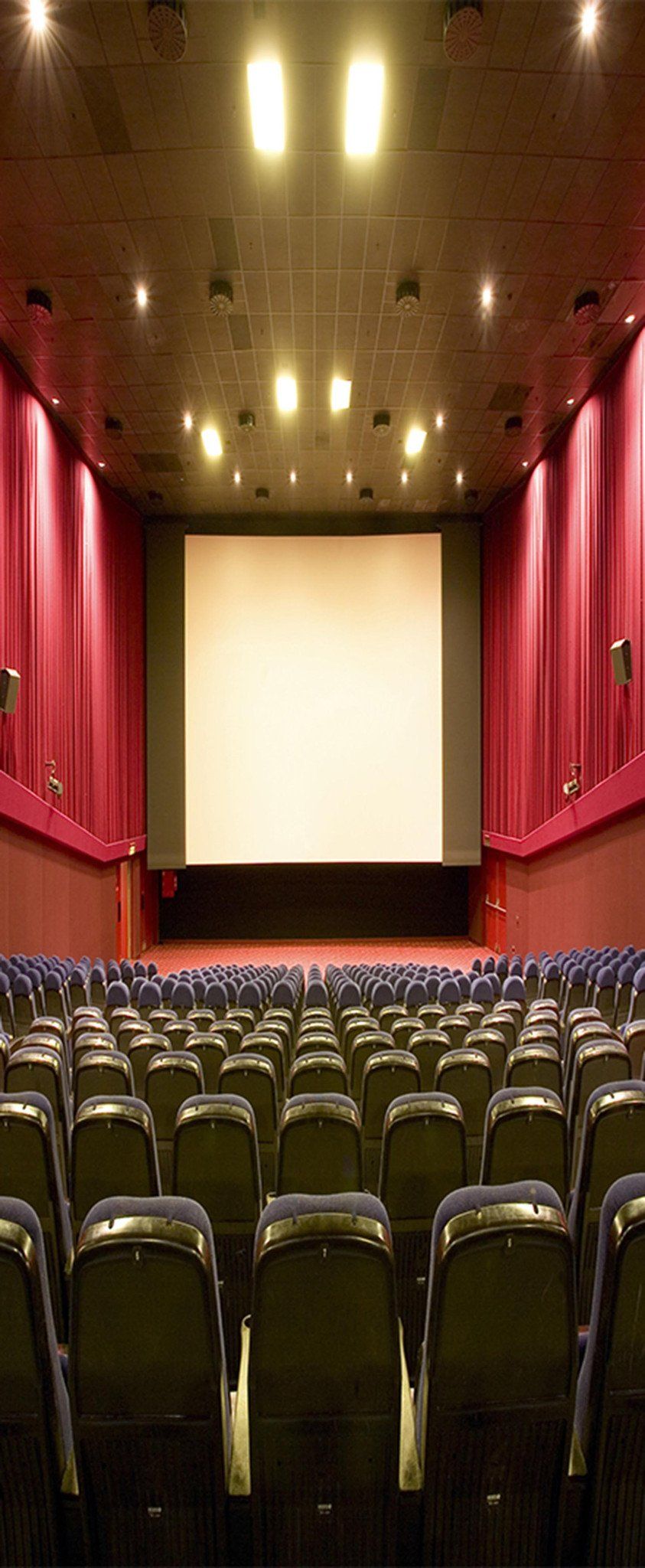 3D Conference Hall 61 Door Mural Wallpaper AJ Wallpaper