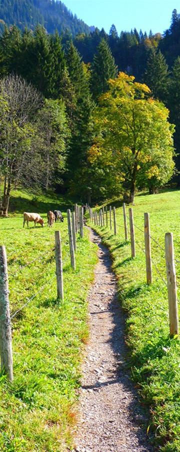 3D country road tree scenery door mural Wallpaper AJ Wallpaper